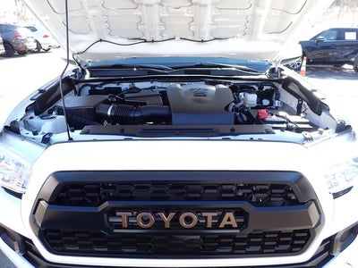 2023 Toyota Tacoma Trail Edition V6