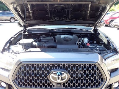 2023 Toyota Tacoma Limited V6