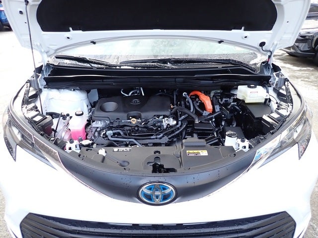 2025 Toyota Sienna LE 8 Passenger