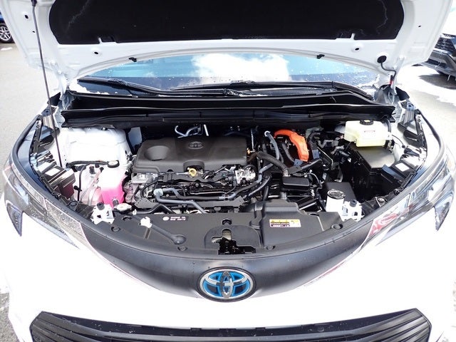 2025 Toyota Sienna LE 8 Passenger