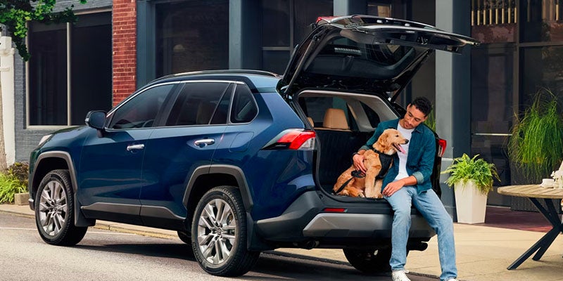A driver and their pet using the ample trunk space of the 2025 Toyota RAV4 in Pleasant Hills, PA